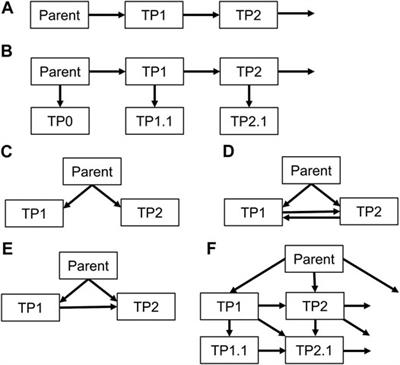 Modelling the Fate of Pesticide Transformation Products From Plot to Catchment Scale—State of Knowledge and Future Challenges